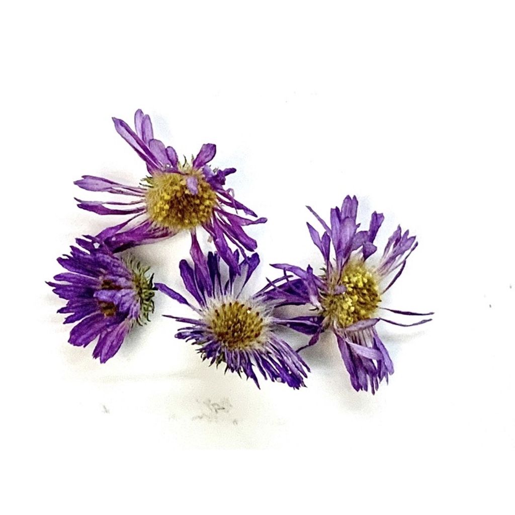 sg-11134201-23010-bty0ud1kvtmv2f