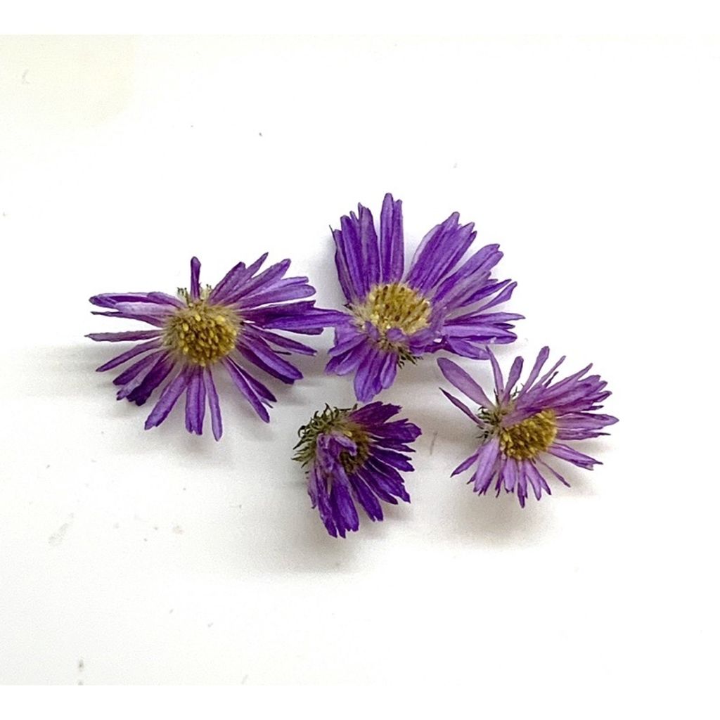 sg-11134201-23010-5lx7ye1kvtmv29