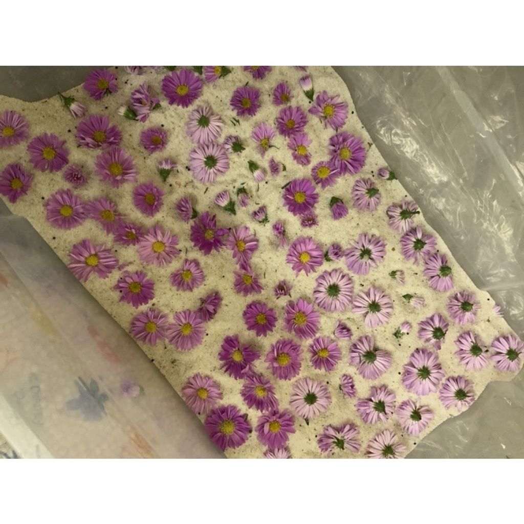 sg-11134201-23010-shur9zwpvtmv92