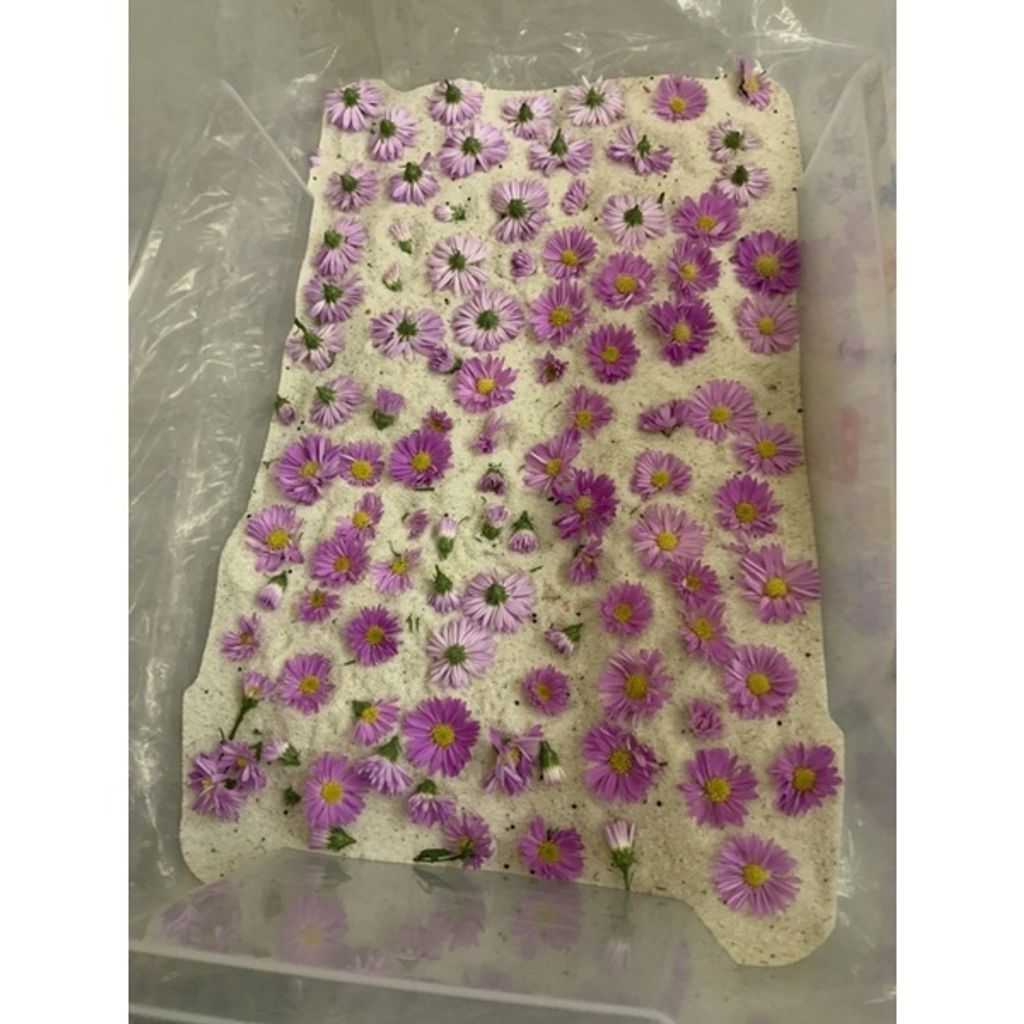 sg-11134201-23010-yjvu5ywpvtmv7b