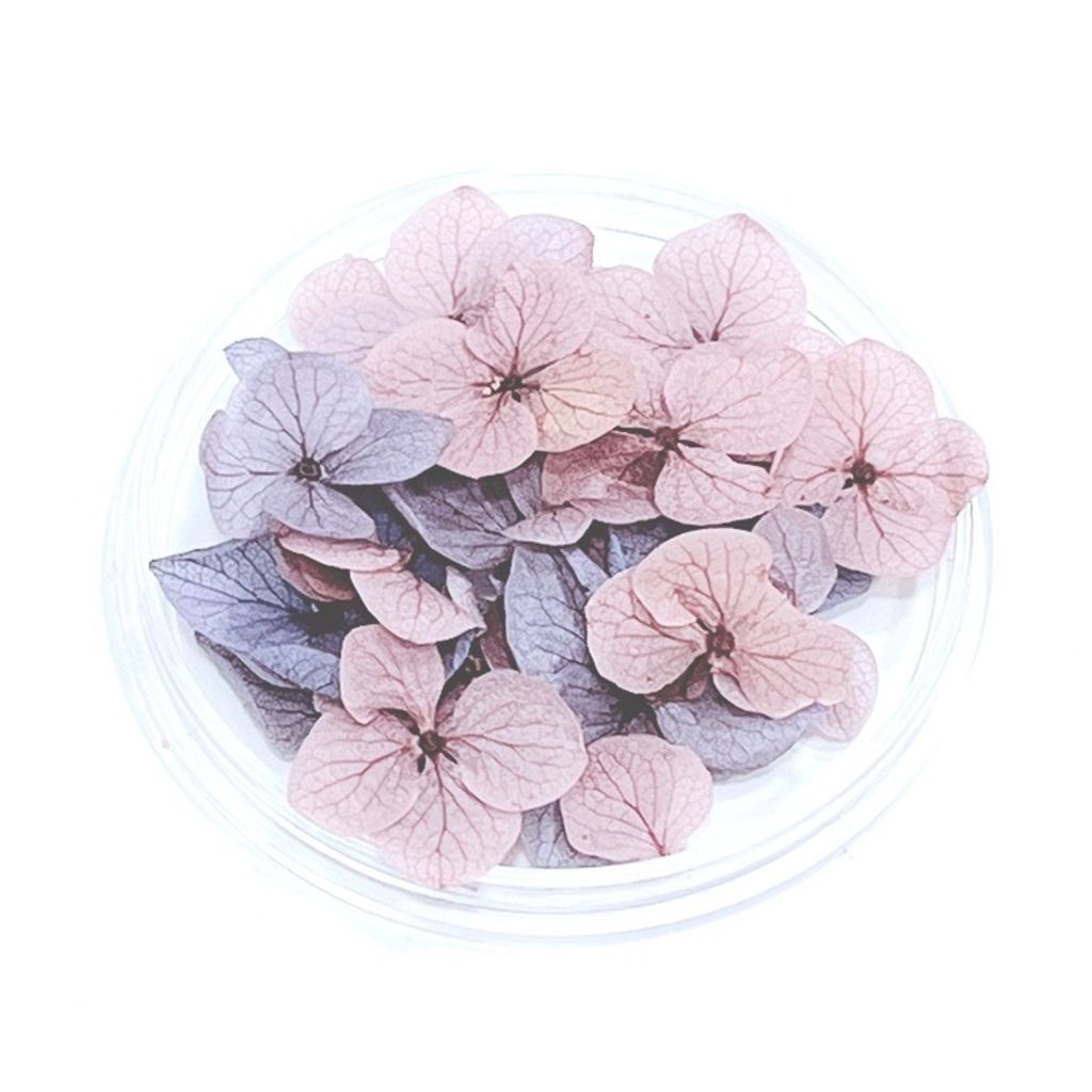 sg-11134201-22120-oi9dw36ovykv18