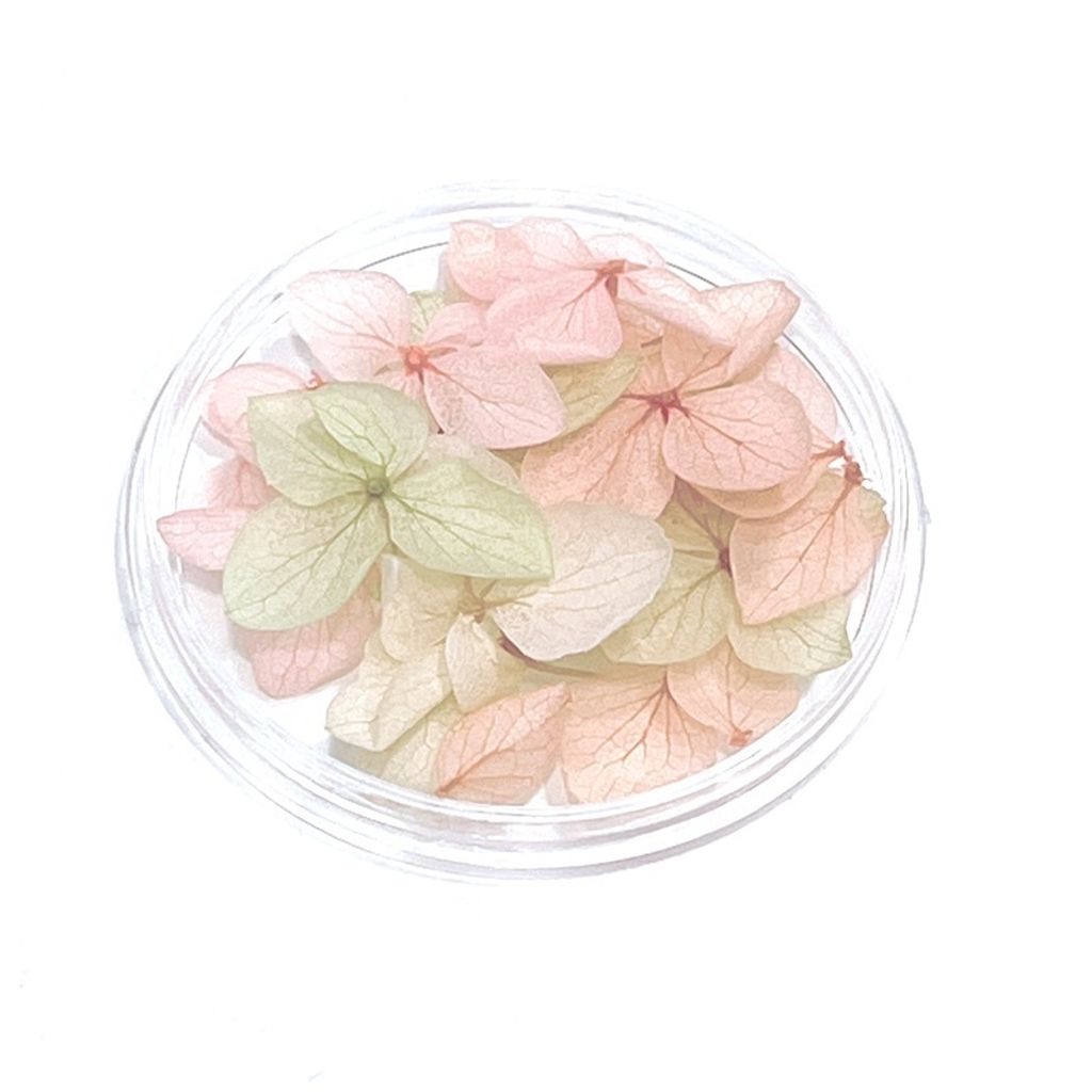 sg-11134201-22120-a9uuxwbpvykv2a