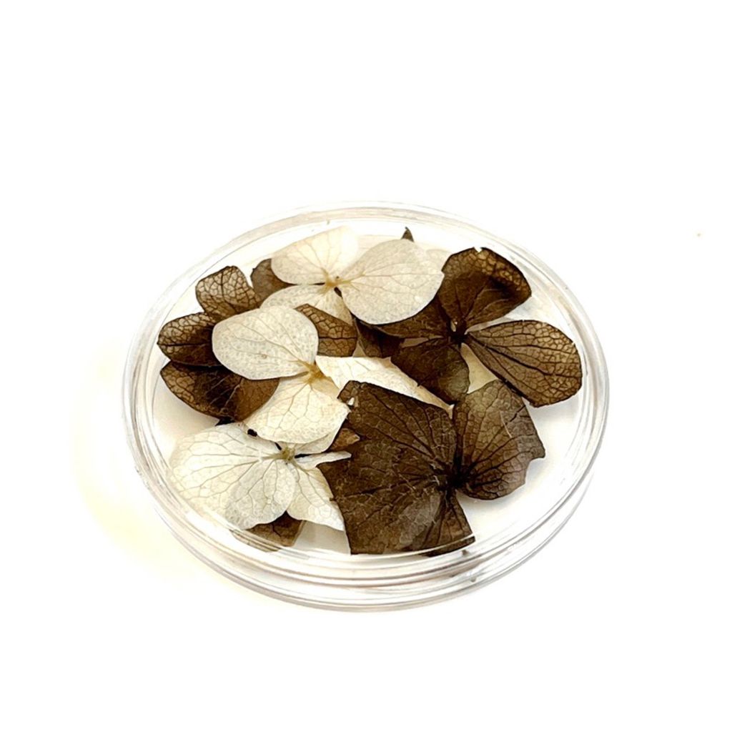 tw-11134207-7qukx-lgvp4mgovb55d6