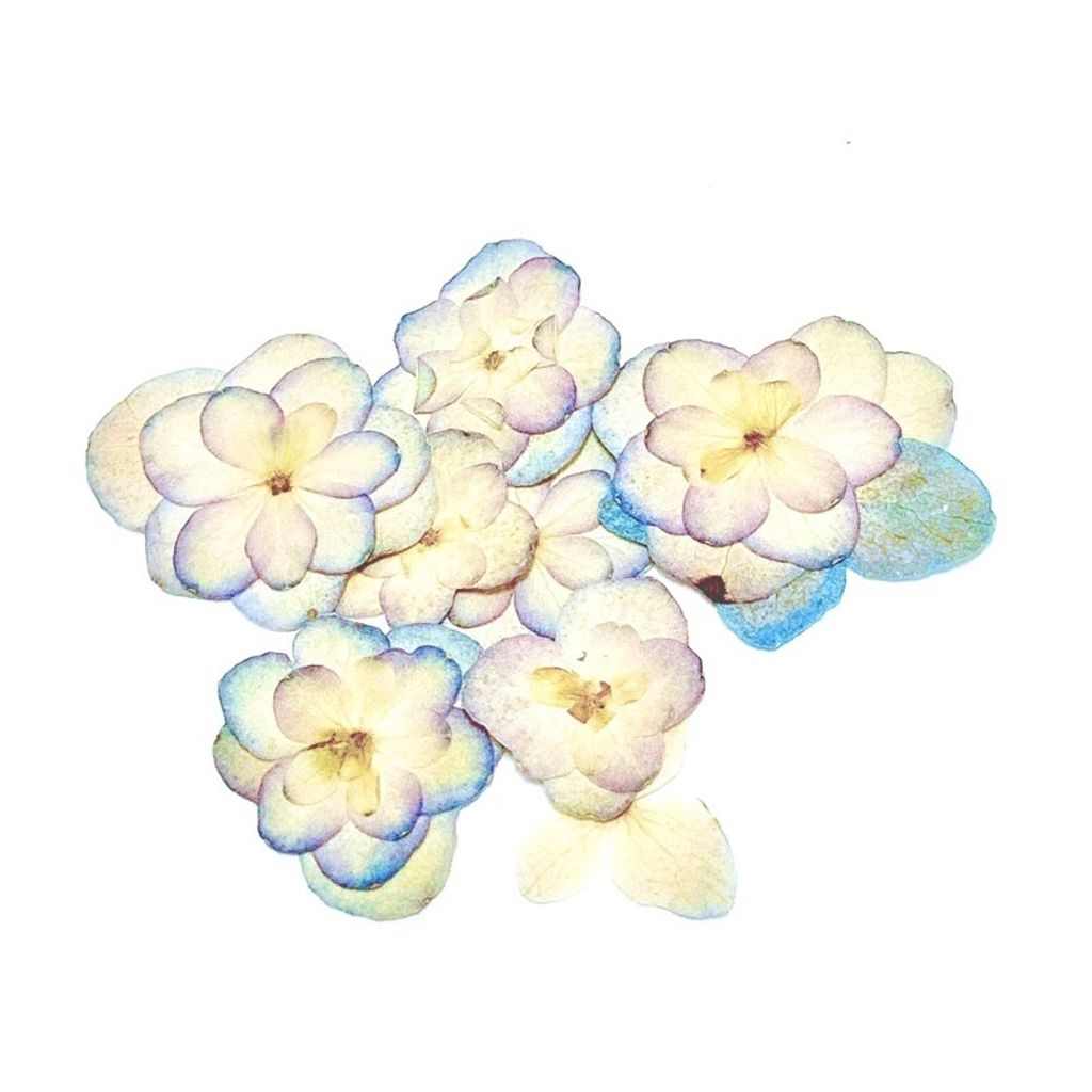 sg-11134201-23010-w08ke5ievtmv59