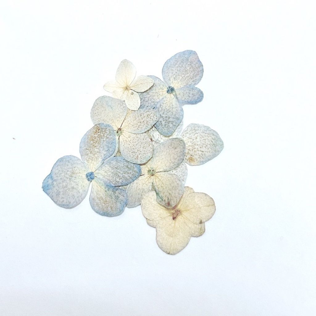 sg-11134201-23010-1zvitvyevtmvb0