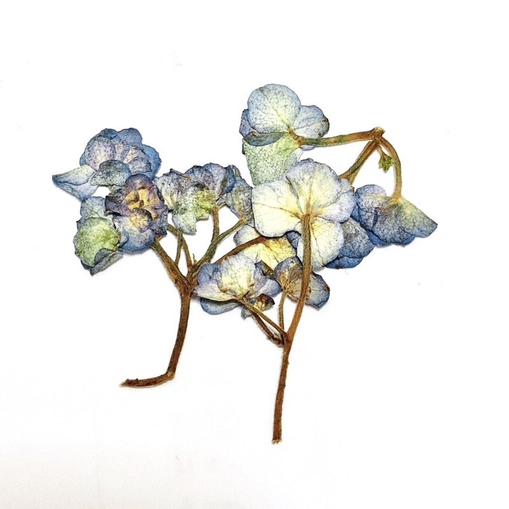 sg-11134201-23010-9det23efvtmv61