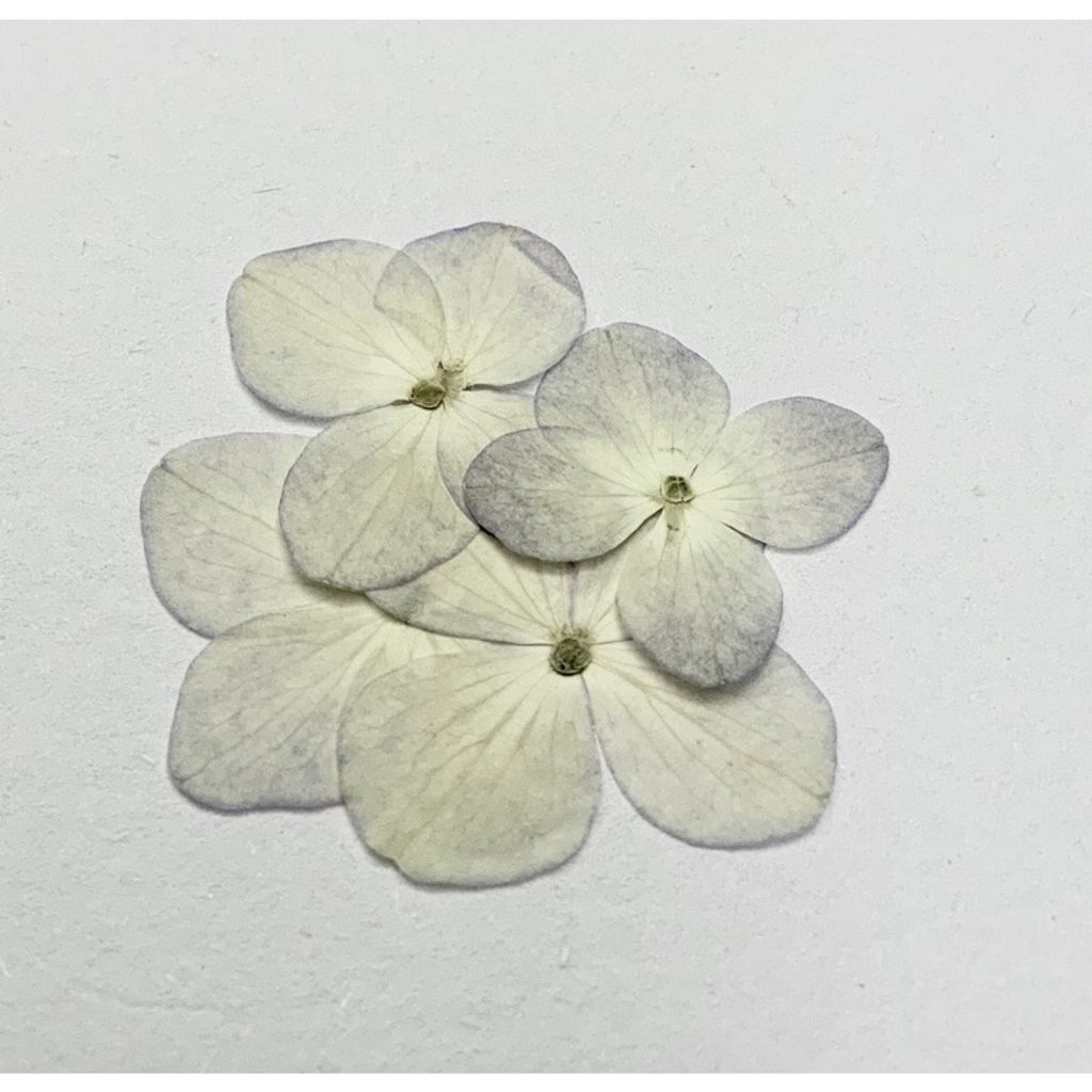 tw-11134201-23030-uo9it88wnhov2e