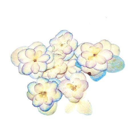 sg-11134201-23010-l5y2qmv8utmv29