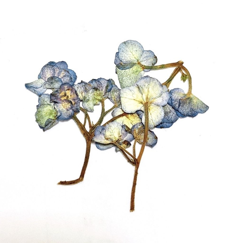 sg-11134201-23010-xte53kv8utmv75