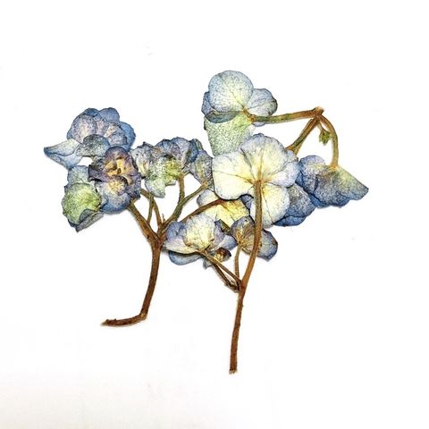 sg-11134201-23010-xte53kv8utmv75