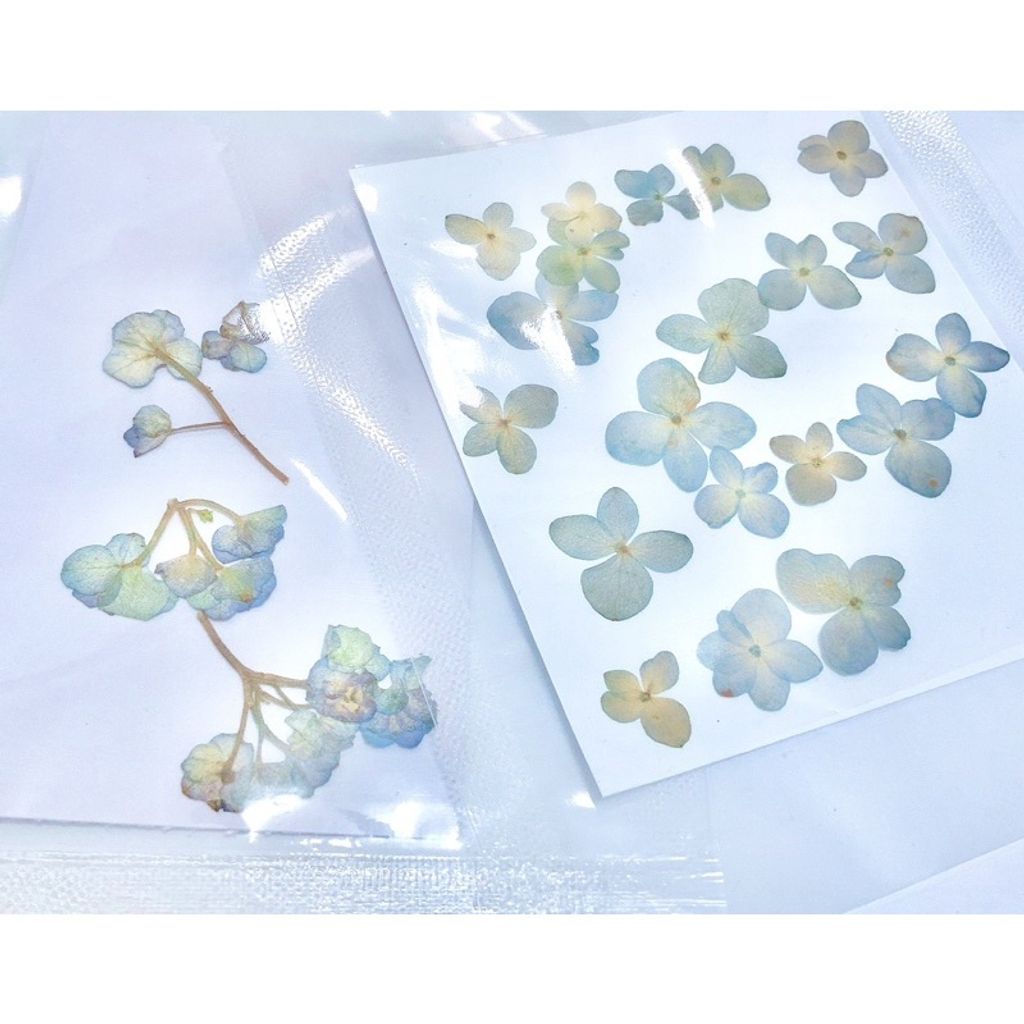 sg-11134201-23010-dxms5sv8utmvcb