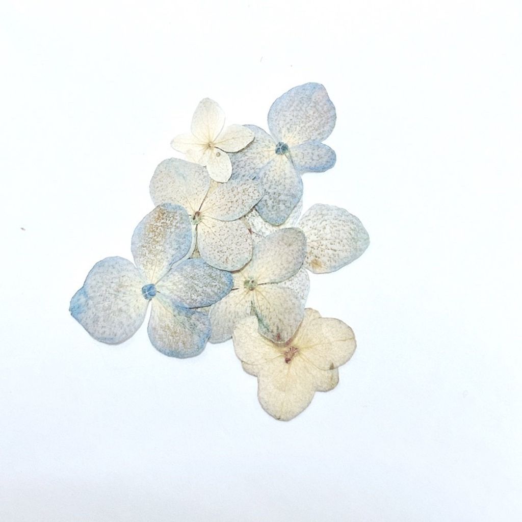 sg-11134201-23010-41erytv8utmvf0