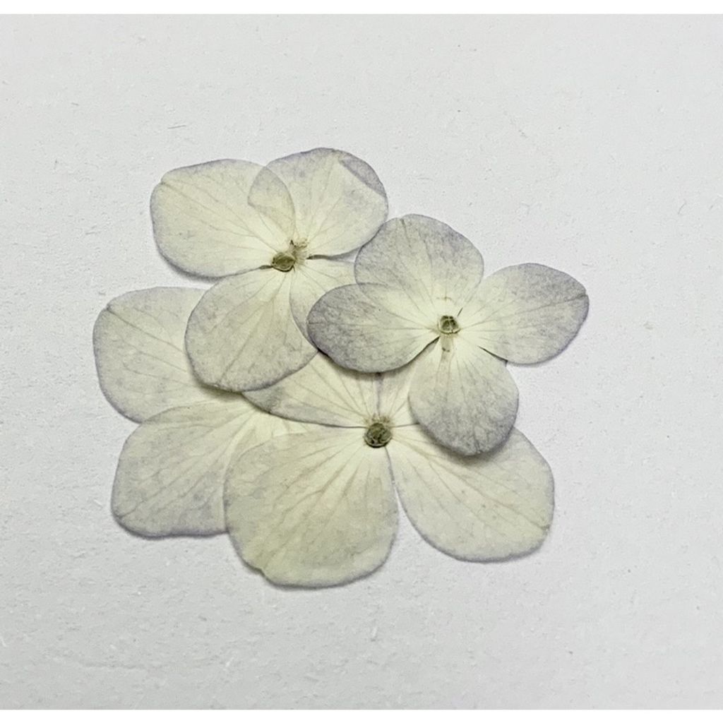 tw-11134201-23030-4w8ppi9ynhovf0