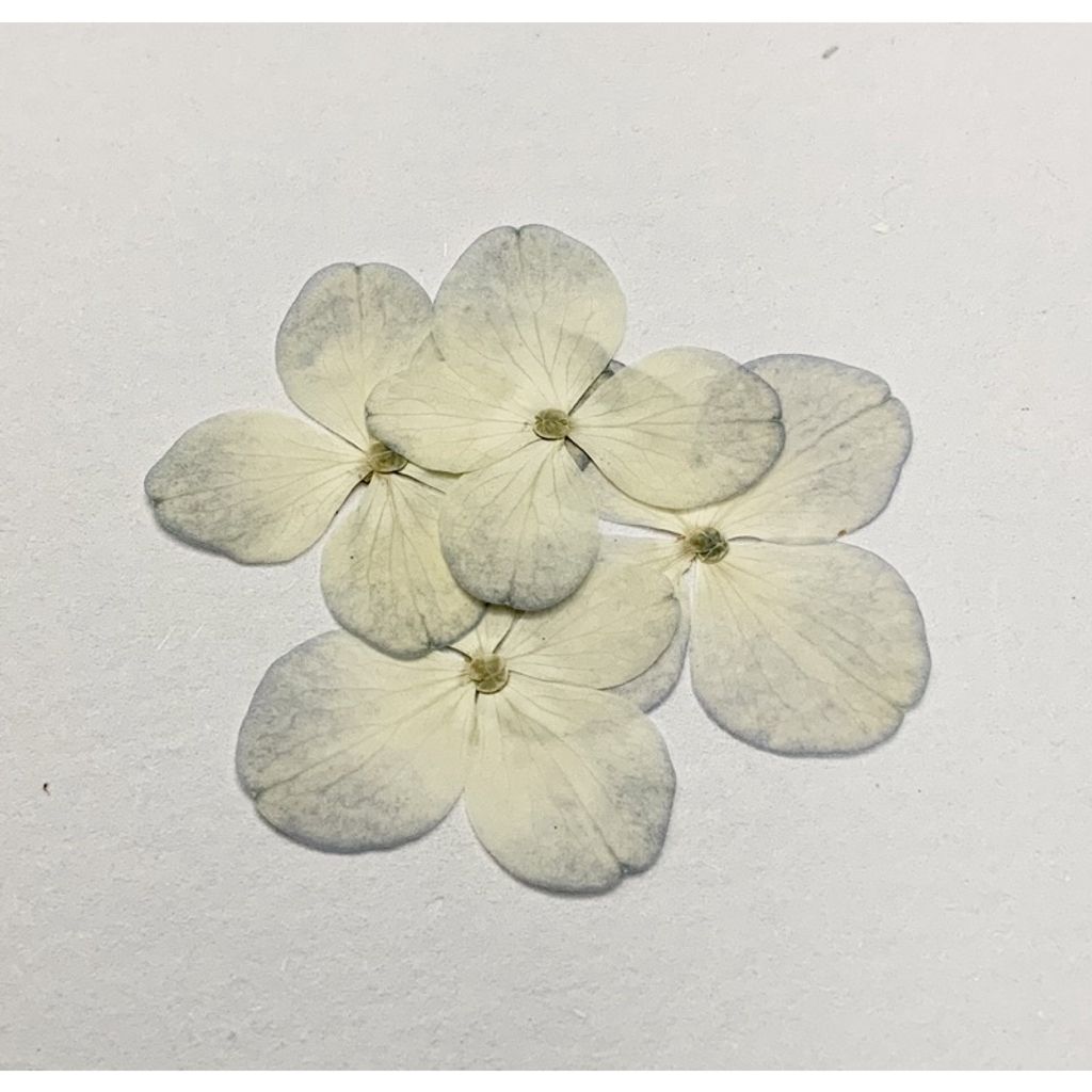 tw-11134201-23030-3eurlh9ynhov8d