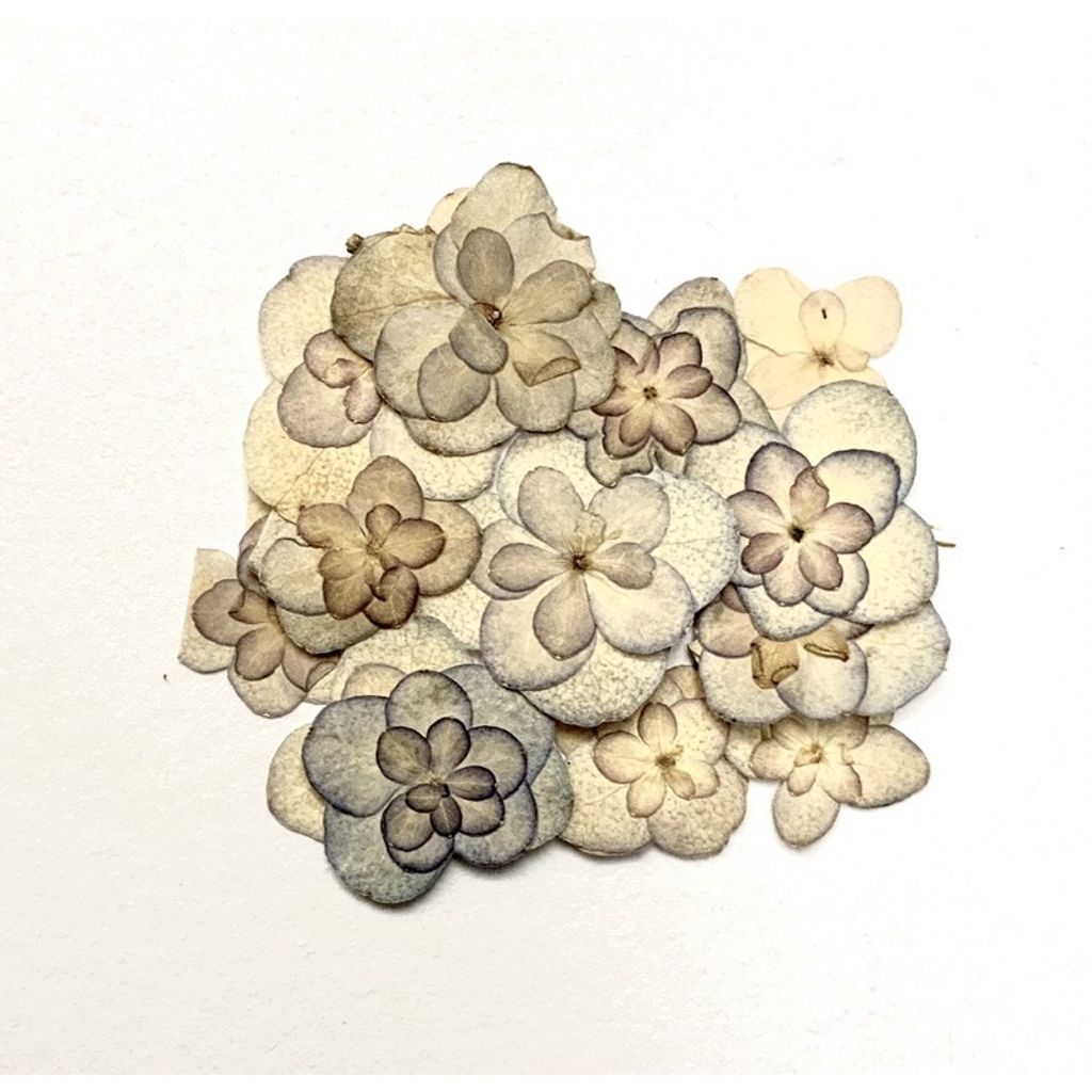 tw-11134201-23030-zpfs6h9ynhov3f