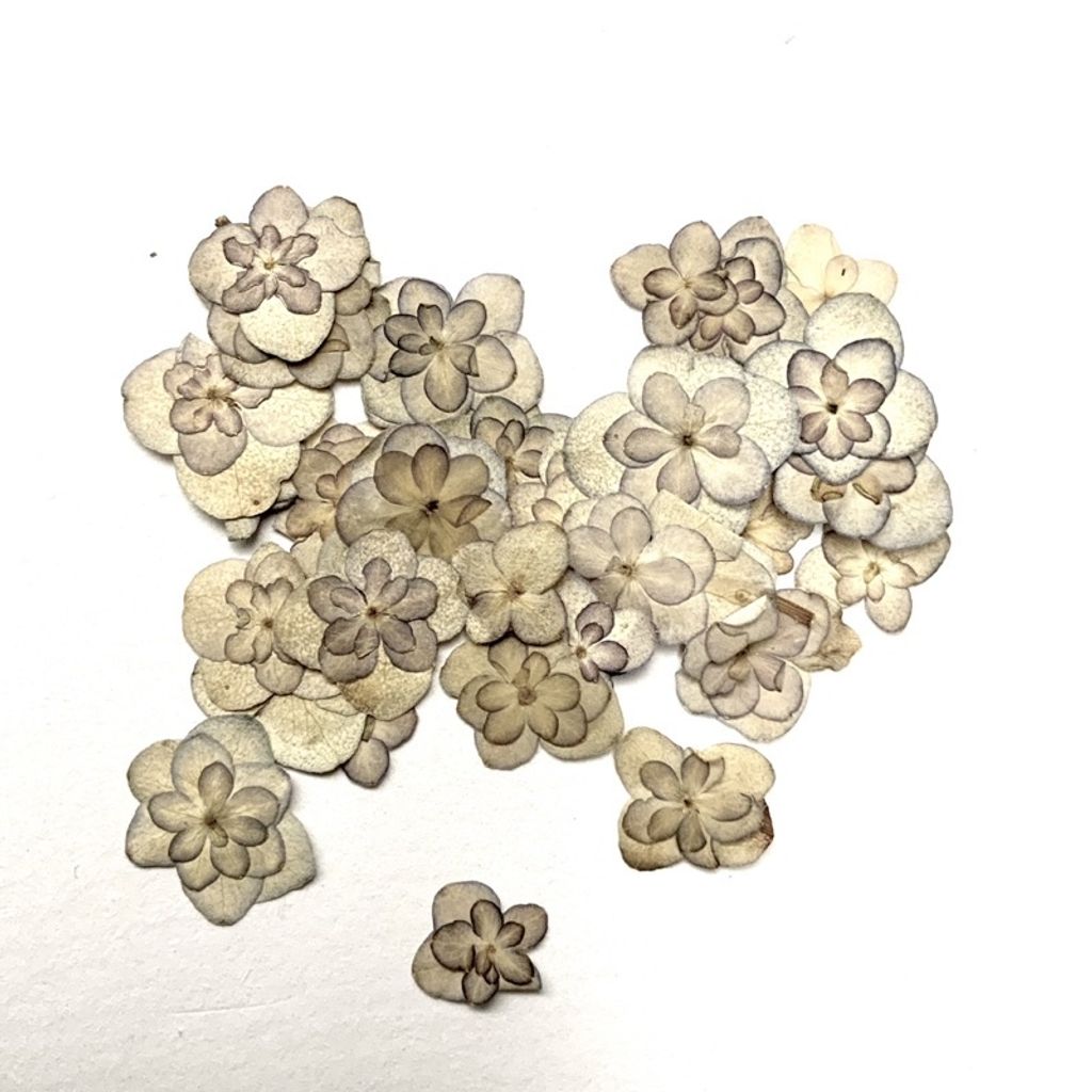 tw-11134201-23030-q02srg9ynhov45