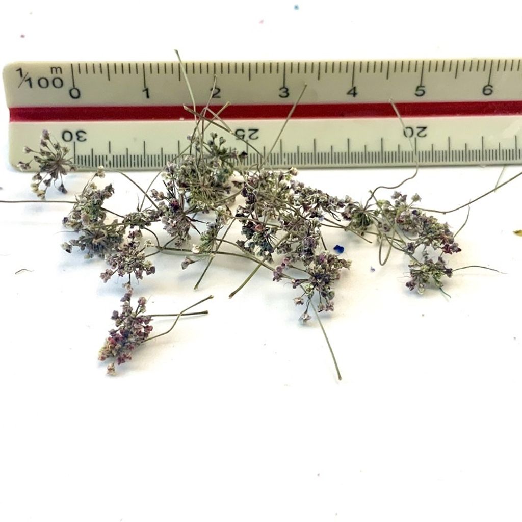 tw-11134201-23030-i8mbupkvb0nvd6