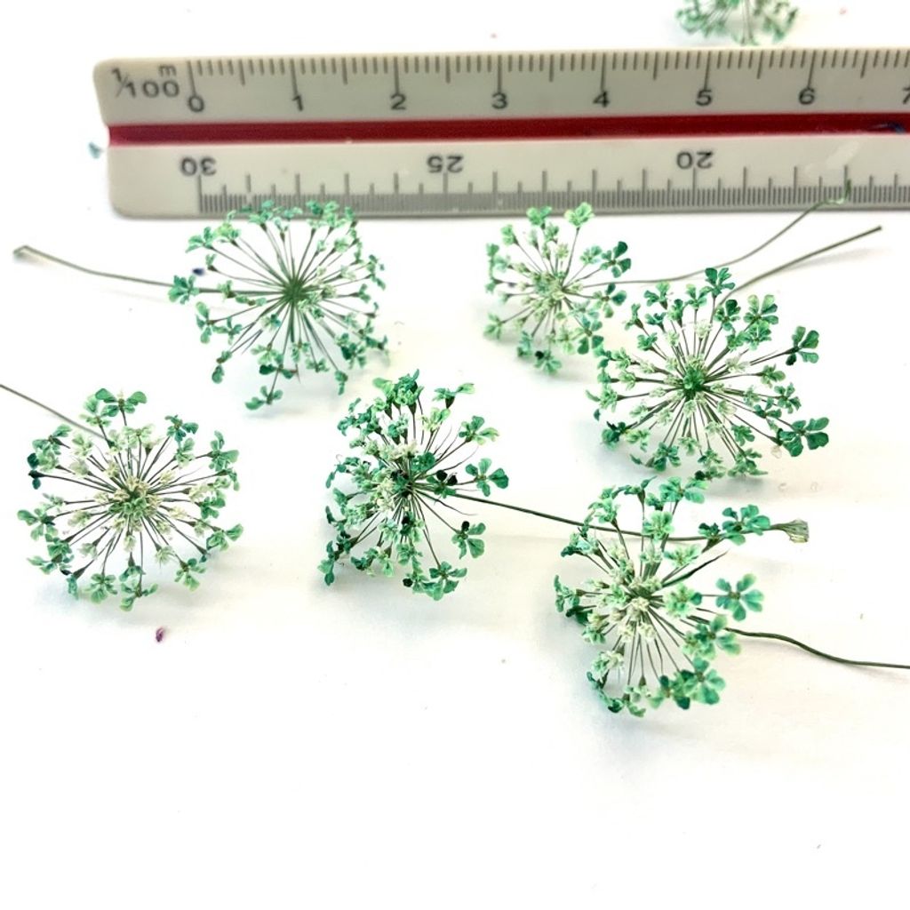 tw-11134201-23030-mqcng49vb0nv39