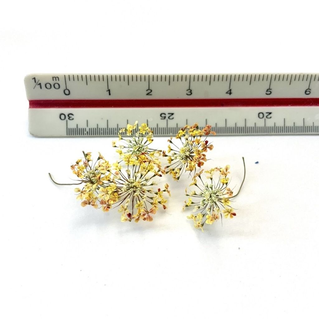 tw-11134201-23030-yz4ni1evb0nv5d