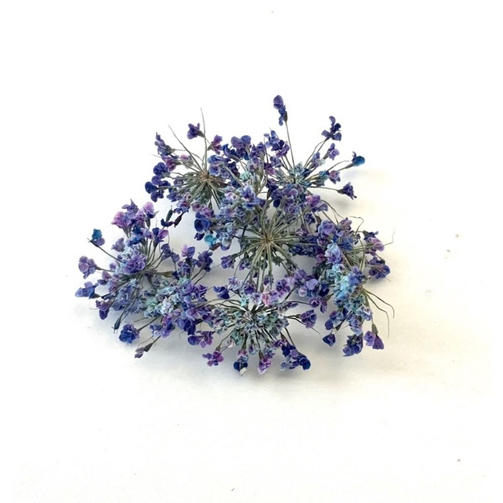 tw-11134201-23030-mimhgwhsb0nv0f