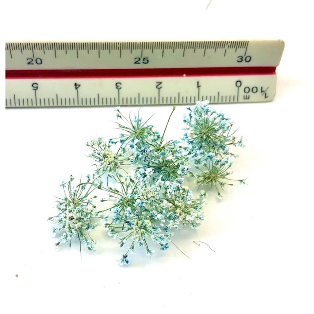 tw-11134201-23030-37reeyhsb0nve2