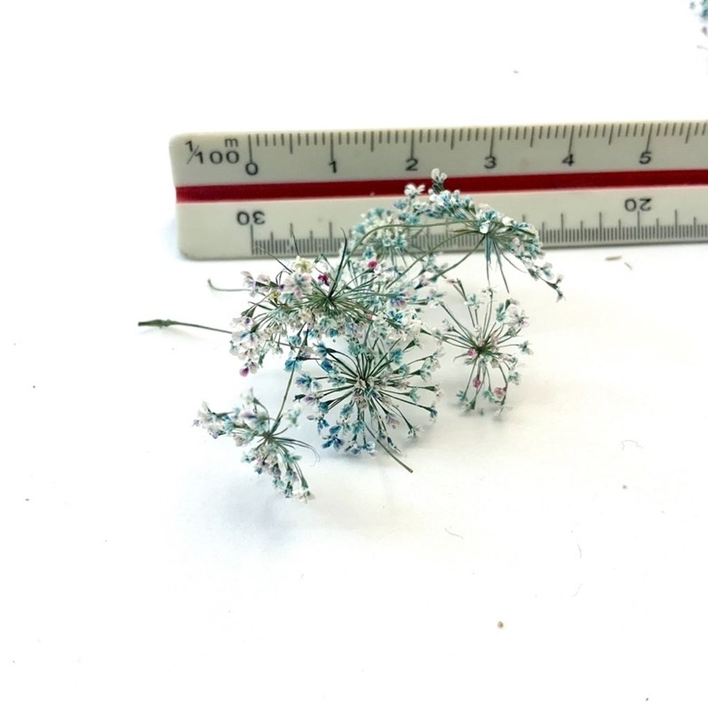 tw-11134201-23030-sk7r9ohsb0nvc6