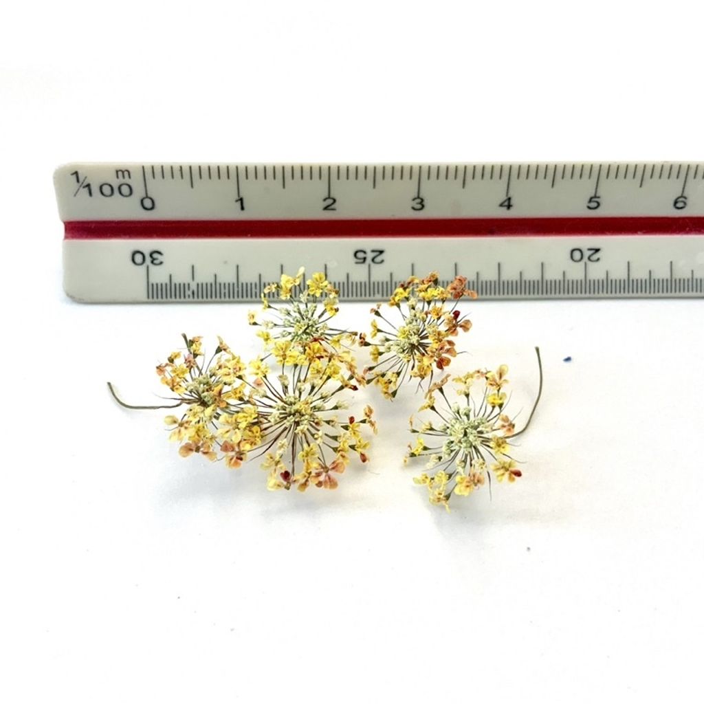 tw-11134201-23030-99bp7qhsb0nv4a