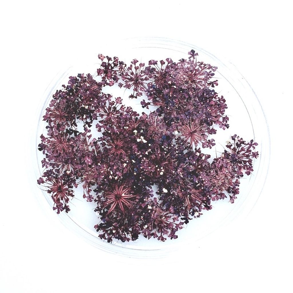 tw-11134201-23020-wnzfmdqstznvf6