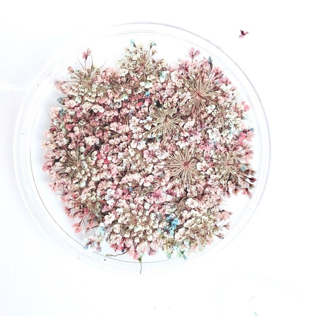 tw-11134201-23020-52z8llzwtznv4d