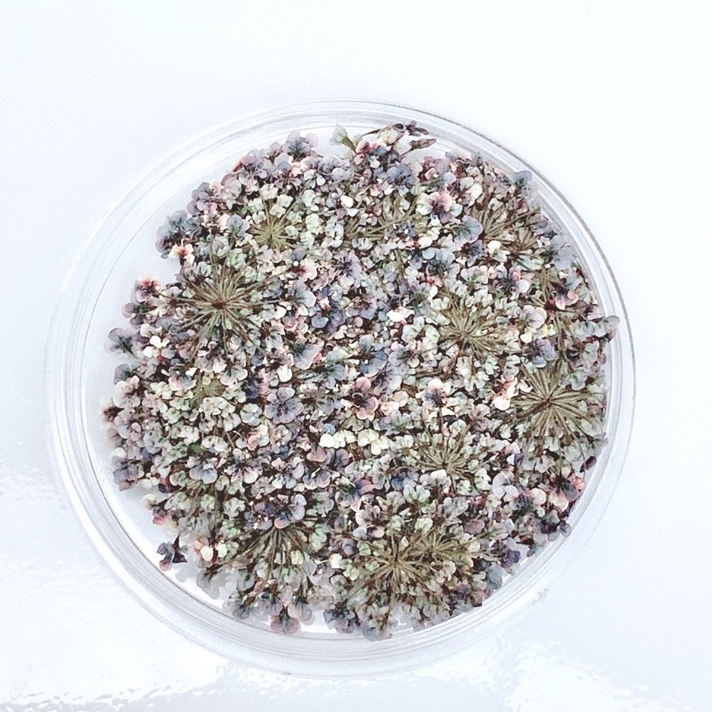 tw-11134201-23020-izkocg3ytznv33