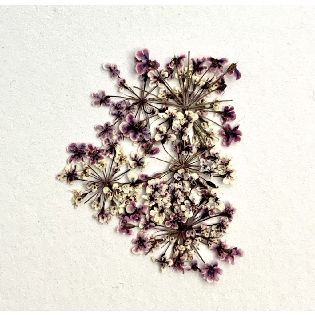 tw-11134201-23030-qdptm996phove8