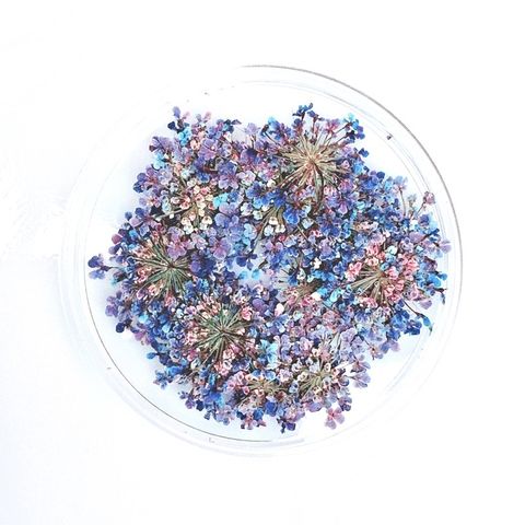 tw-11134201-23020-g4gnmsvjtznv1b