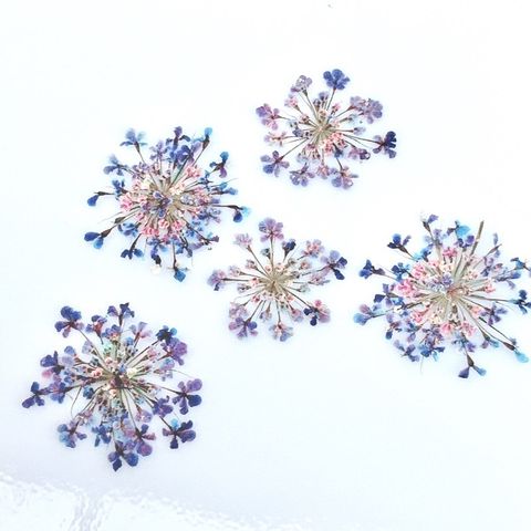 tw-11134201-23020-33gnmsvjtznv83