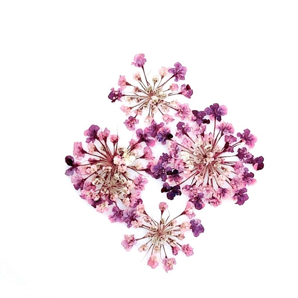 tw-11134201-23020-sgv1gjvjtznv50