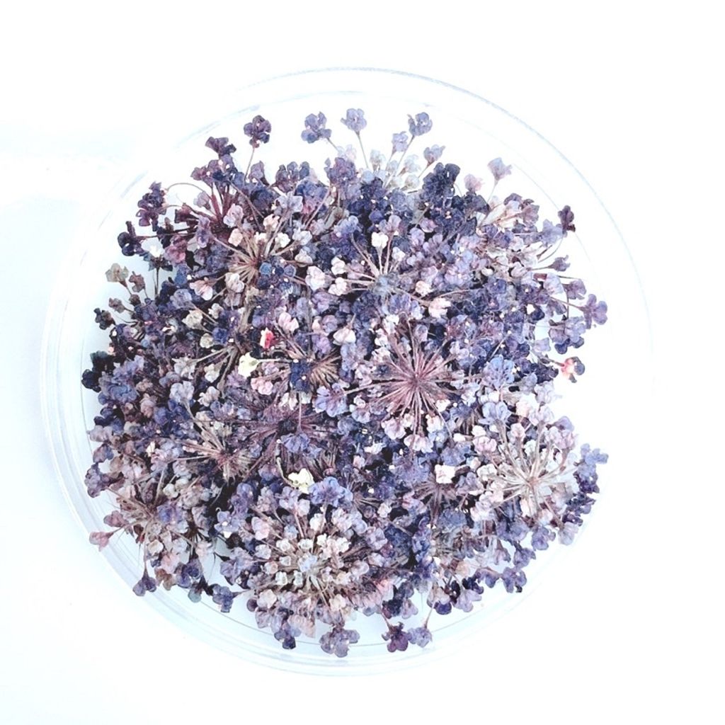 tw-11134201-23020-wnvomsvjtznvb4