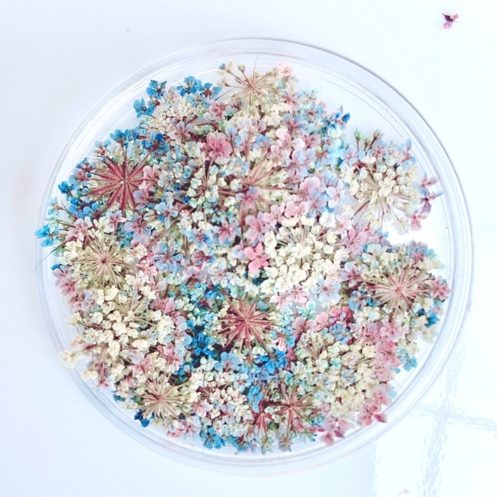 tw-11134201-23020-e99lgtvjtznv74