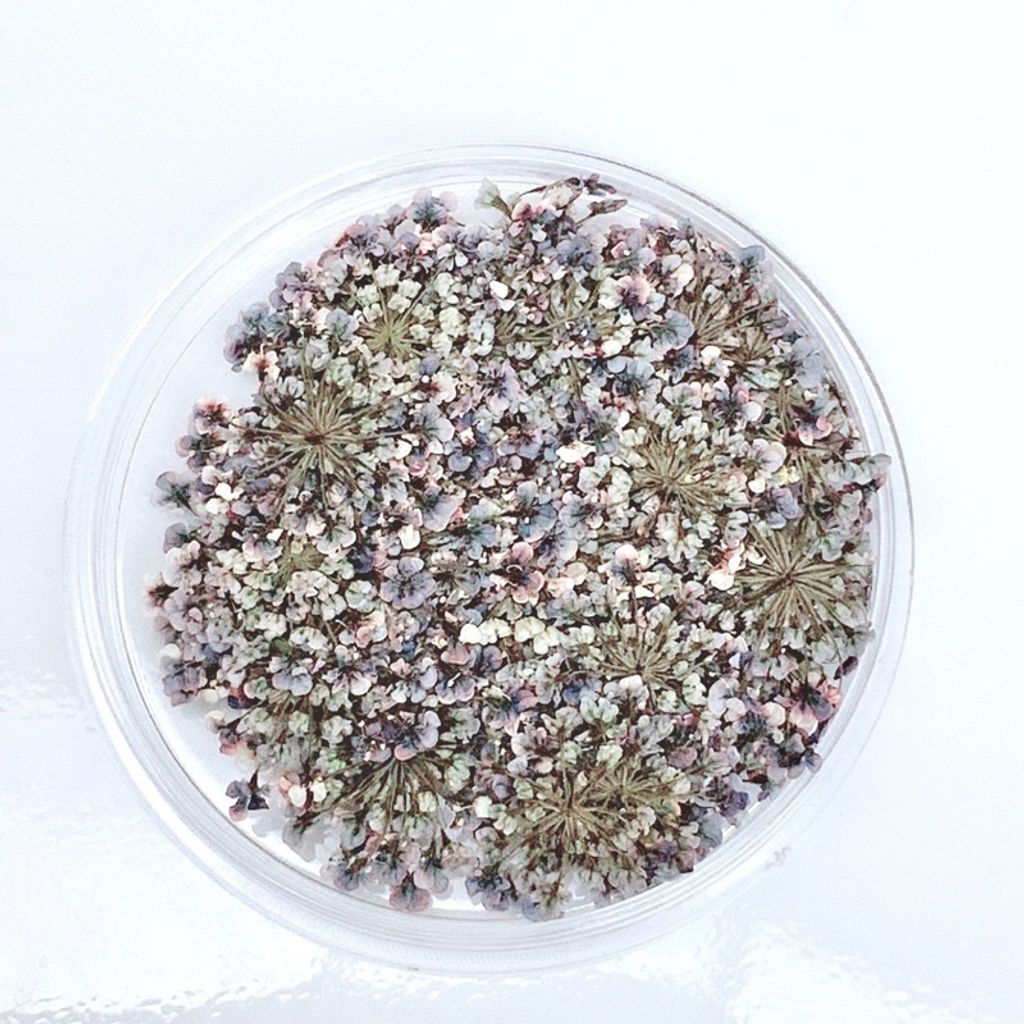 tw-11134201-23020-gf3n7svjtznv7a