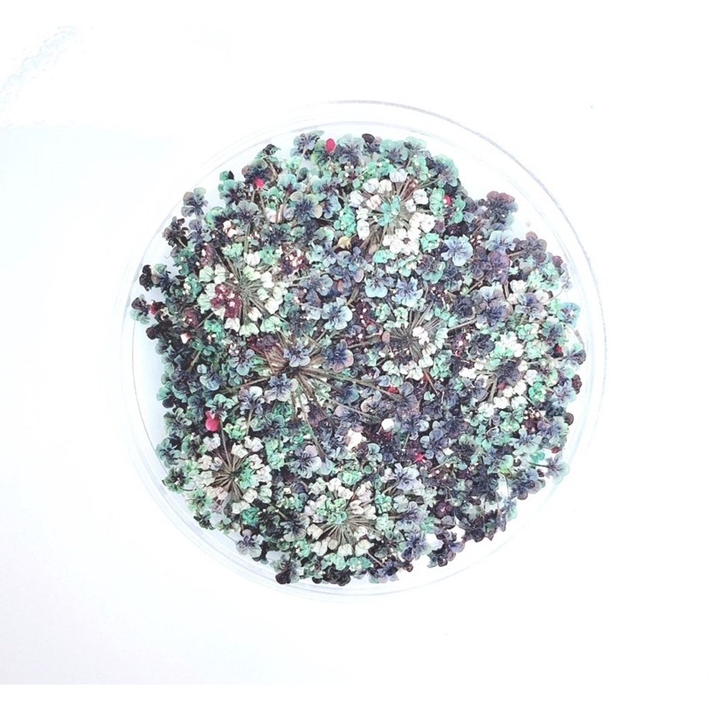 tw-11134201-23020-9g3mwsvjtznv16