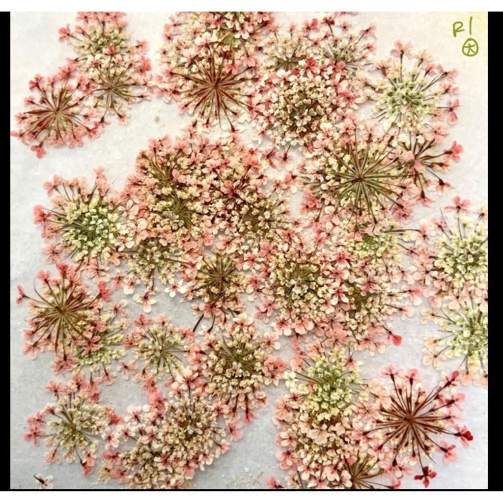 tw-11134207-7qul9-lfm66d2uq2220b