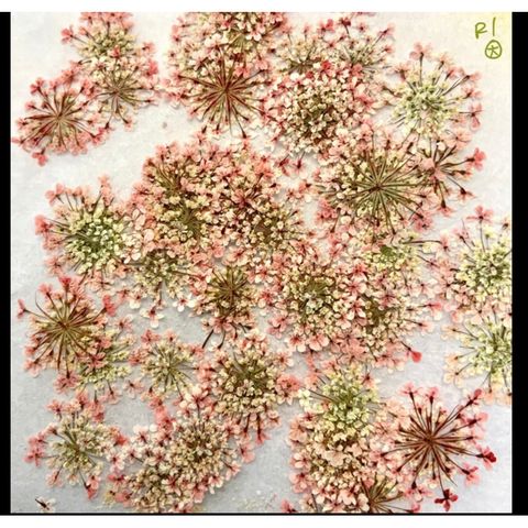 tw-11134207-7qul9-lfm66d2uq2220b