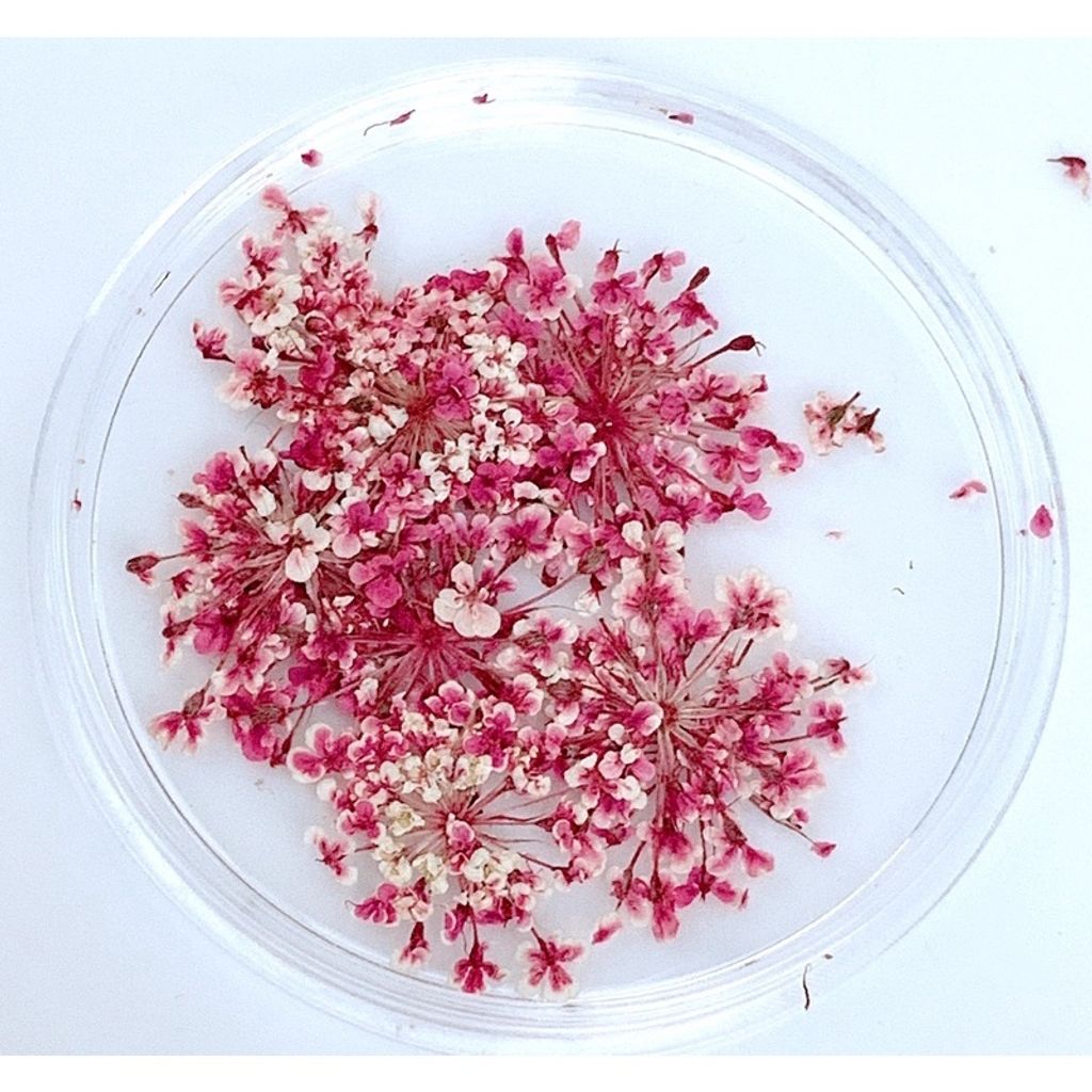 tw-11134201-23020-u5kppfqk8ynv81