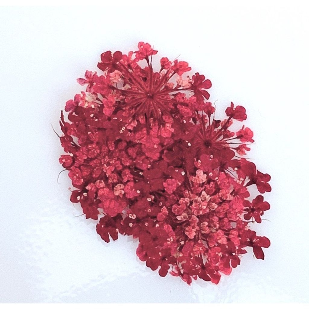 tw-11134201-23020-7t1zf7fl8ynvb1