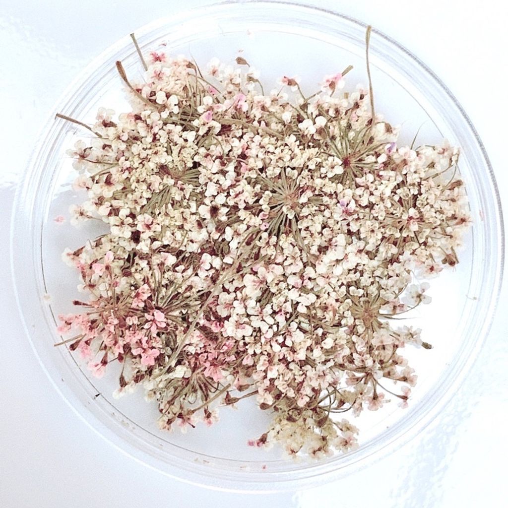 tw-11134201-23020-wvp2a34l8ynvad