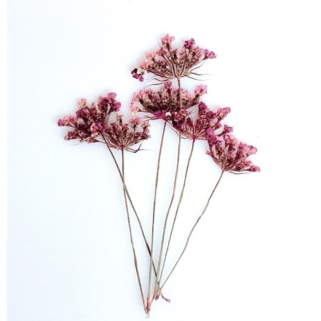 tw-11134201-23020-c5m2krwm8ynv32