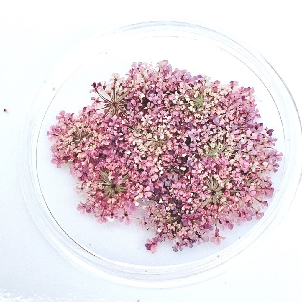 tw-11134201-23020-yrh6el3o8ynv01