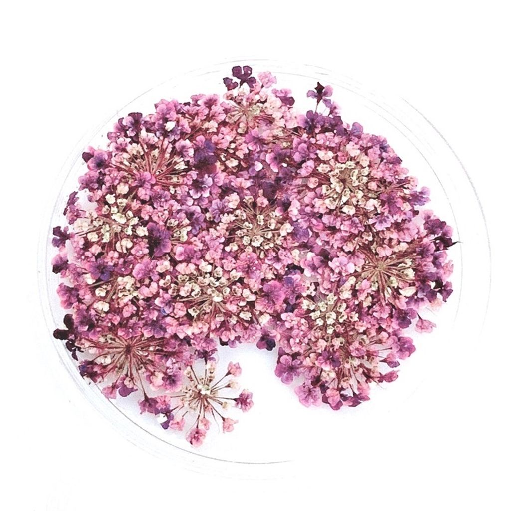 tw-11134201-23020-wb3lrj0q8ynva1