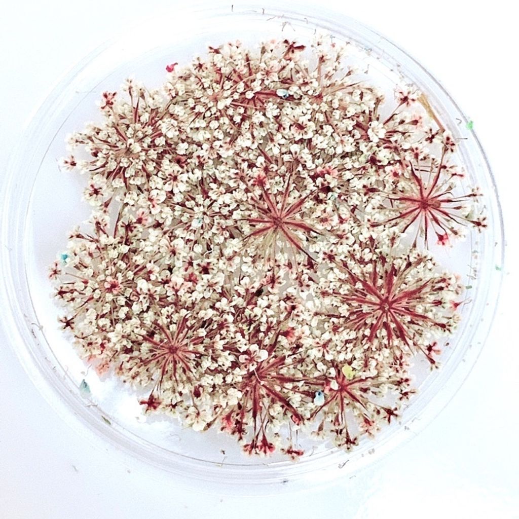 tw-11134201-23020-keg0g5au8ynv37