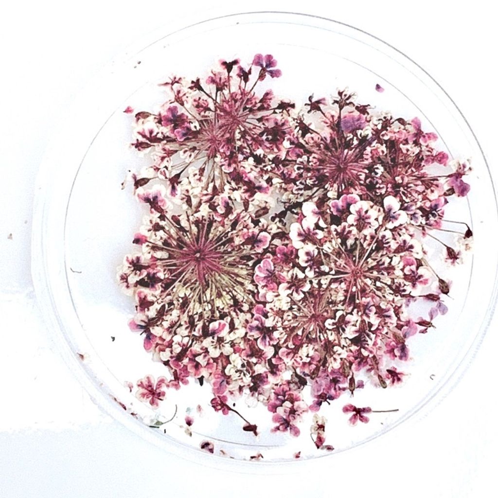 tw-11134201-23020-wnjfb1au8ynv23