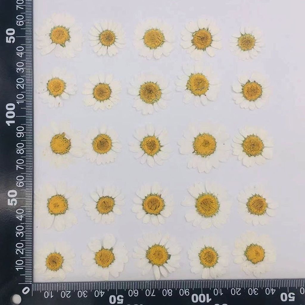 tw-11134201-7quky-leswuqej1cfjfa