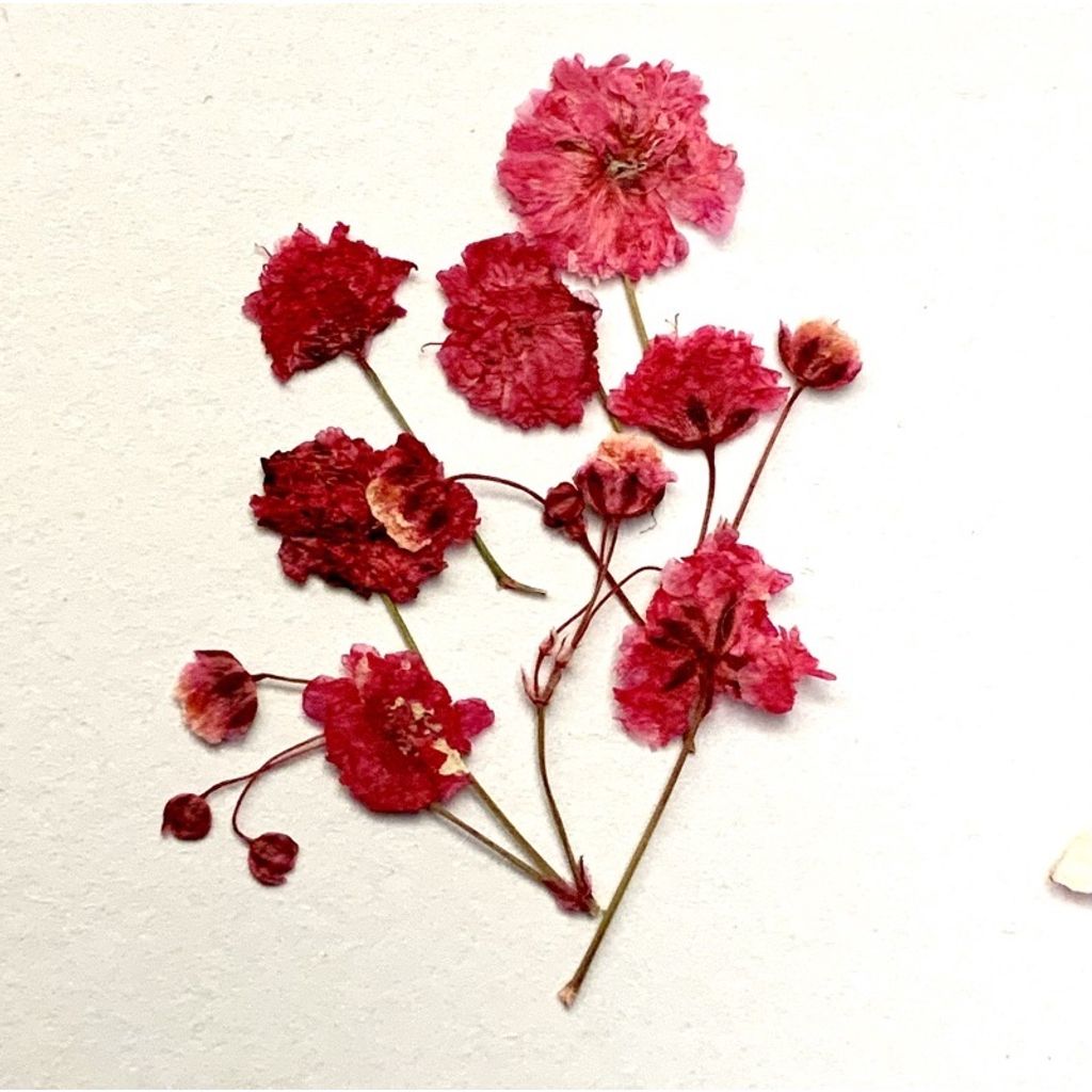 tw-11134201-23030-jltrhb7wohov8f